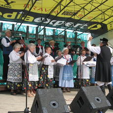 IMG_2623.jpg