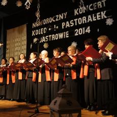 halka 2 piła.JPG