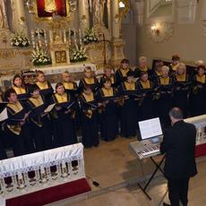 P1220189 (Large).JPG