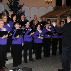 Koncert_chorow_2017 (13).JPG