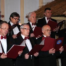 Koncert_chorow_2017 (33).JPG