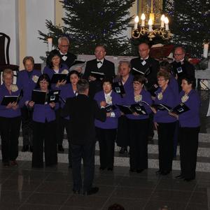Koncert_chorow_2017 (15).JPG