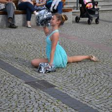 dzc_po_1006201740.jpg