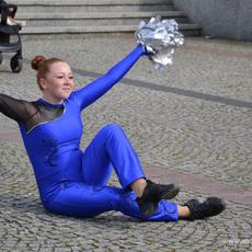 dzc_po_1006201743.jpg