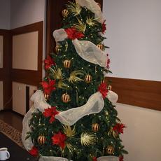 DSC_0389.JPG